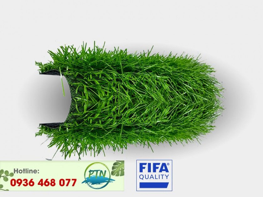 1-840x630-1 Cỏ nhân tạo PTN - M3 PRO