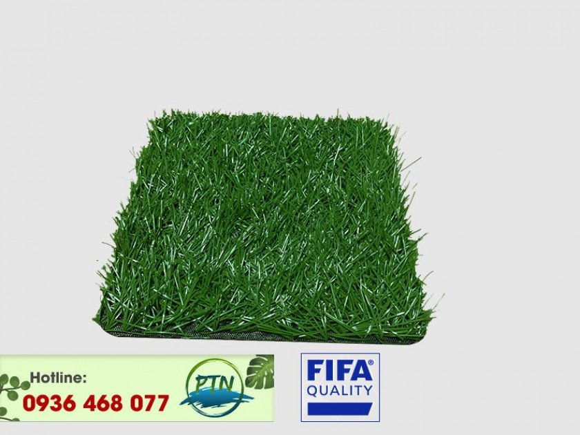5-840x630-1 Cỏ nhân tạo PTN - M3 PRO