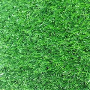 Cỏ nhân tạo PTN-M25