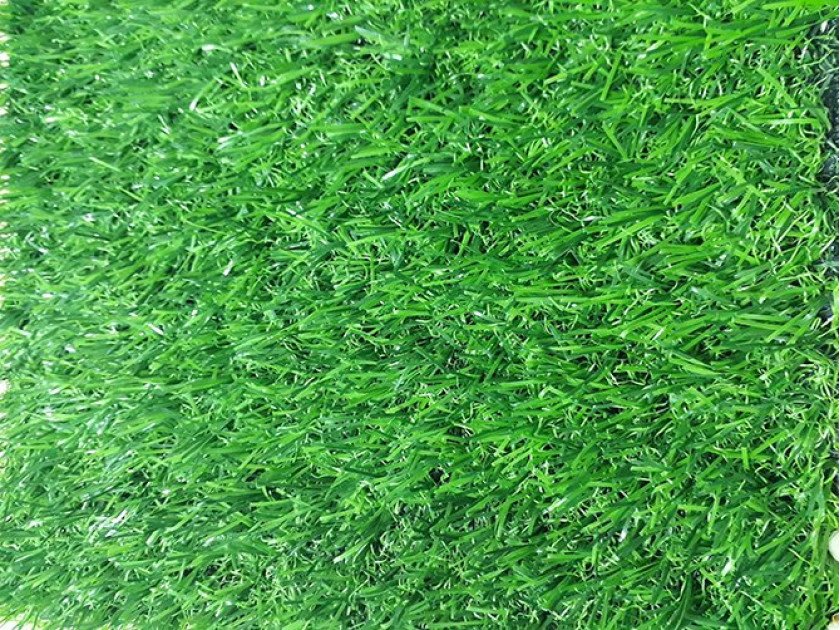 co-nhan-tao-ptn-m25-840x630-1