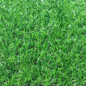Cỏ nhân tạo sân vườn M20