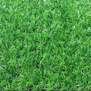 Cỏ nhân tạo sân vườn M20
