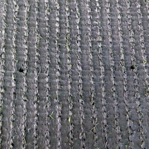Cỏ nhân tạo sân vườn PTN-TG20