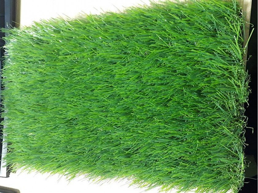 ptn-lg40-2-840x630-1 Cỏ nhân tạo sân vườn PTN-LG40