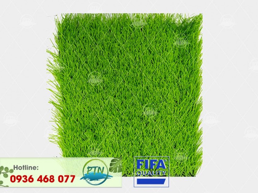 ptn-m18-cr-840x630-1-1 Cỏ nhân tạo PTN-M18