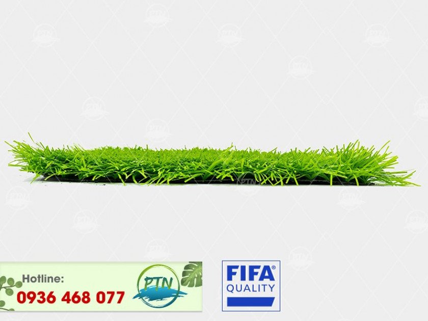 ptn-m6-840x630-2 Cỏ nhân tạo PTN-M6