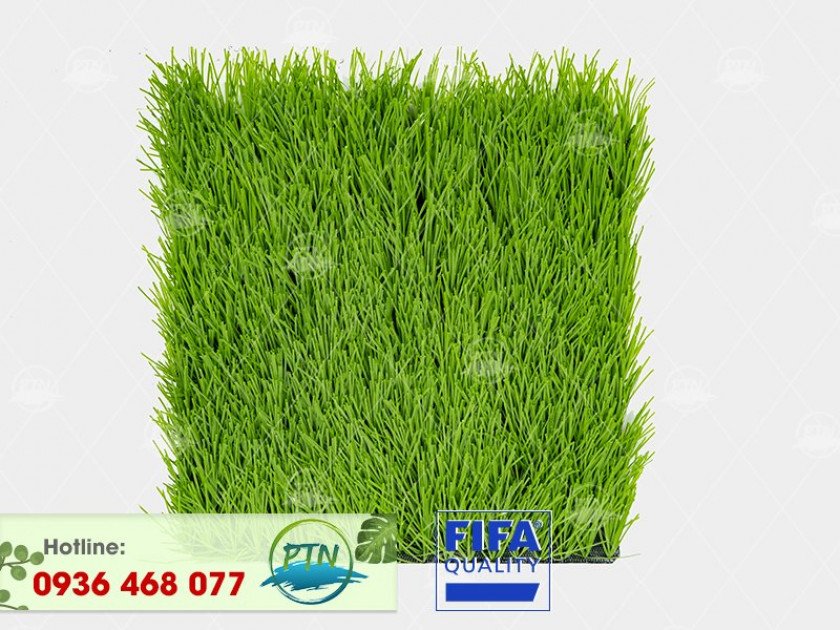 ptn-m6-840x630-4 Cỏ nhân tạo PTN-M6