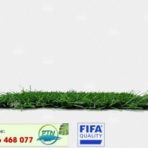 Cỏ nhân tạo PTN-M84
