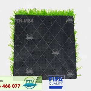 Cỏ nhân tạo PTN-M84
