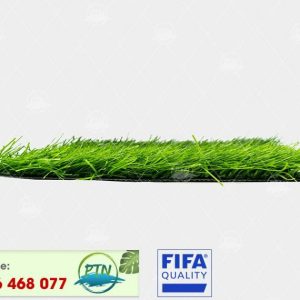 Cỏ nhân tạo PTN-MSX50
