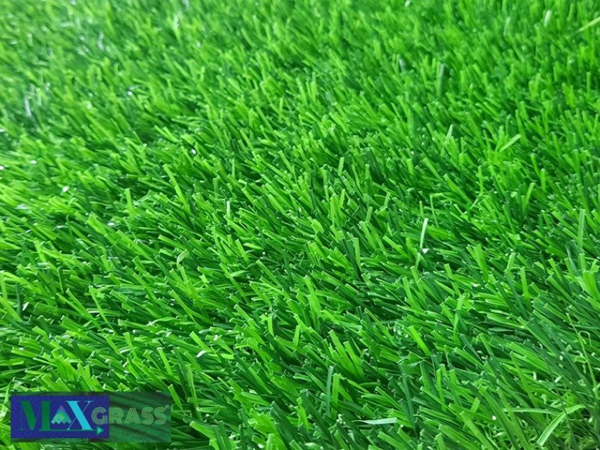 ptn-px3-840x630-2-1 Cỏ nhân tạo PT-MI2019