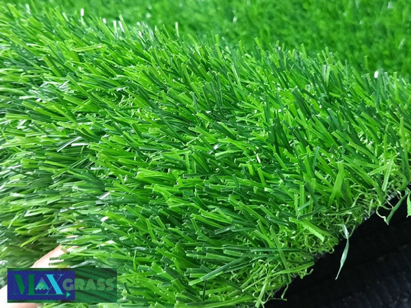 ptn-px3-840x630-2-2 Cỏ nhân tạo PT-MI2019