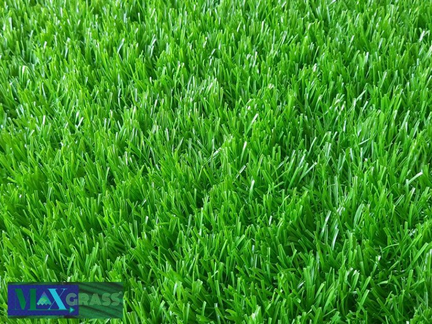 ptn-px3-cr-840x630-1 Cỏ nhân tạo PT-MI2019